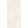 RTN6 NEVE12 RM rett. Retina 120 x 60 x 0,65 cm